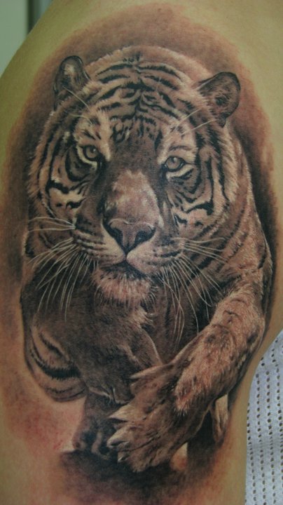 Grey Ink Tiger Tattoo On Left Shoulder