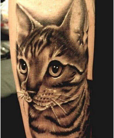 Realistic Grey Cat Tattoo On Sleeve