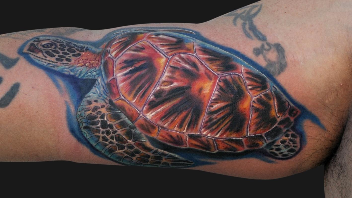 Nice Turtle Tattoo On Bicep