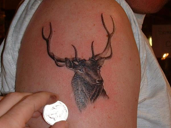 Man Right Shoulder Deer Tattoo