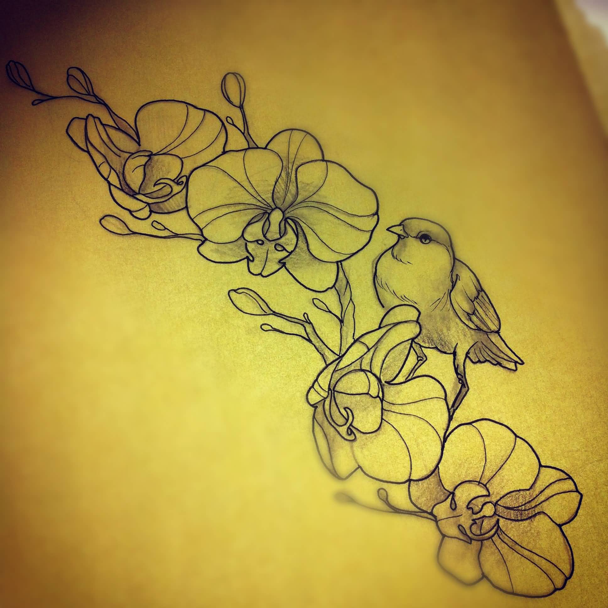 Sparrow And Orchid Tattoos Design