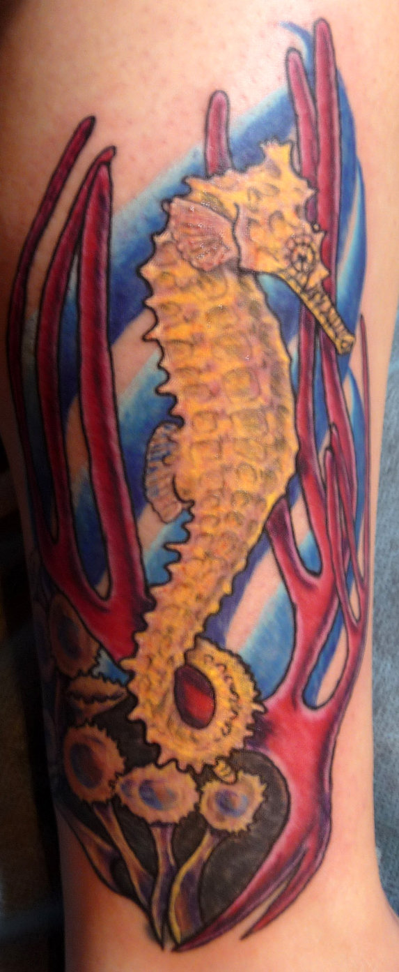 Yellow Seahorse Tattoo On Sleeve by Hoviemon