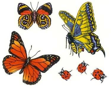 Beautiful Butterflies Tattoos Samples