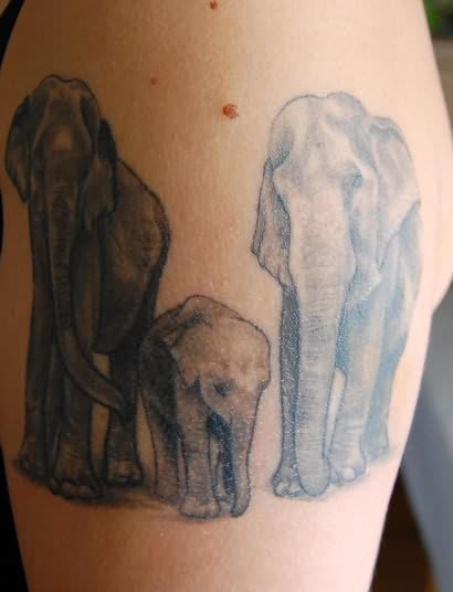 Big Elephants Tattoos On Shoulder