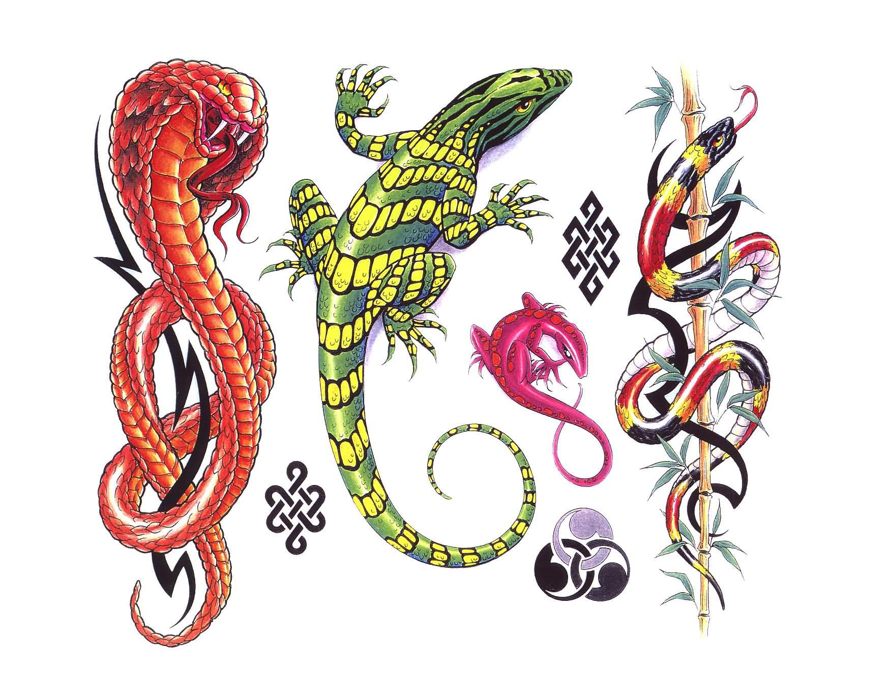 New Designs For Lizard Tattoo